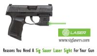Sig Lasers - Sig P365 Light image 4
